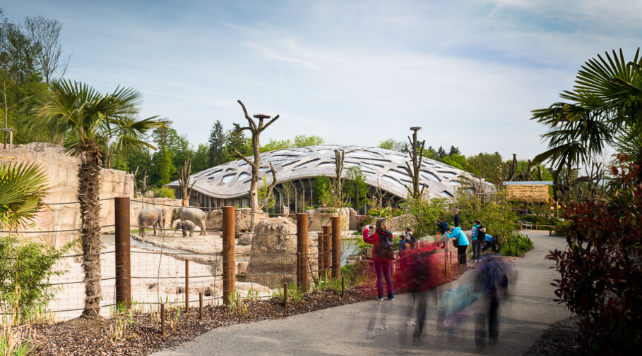 Kaeng Krachan Elefantenpark, Zoo Zürich